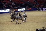 Quadrille - 00678